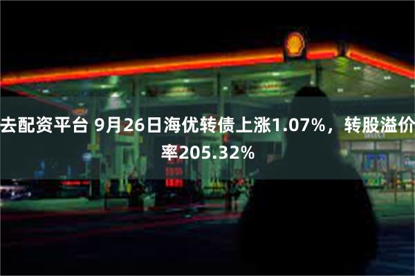 去配资平台 9月26日海优转债上涨1.07%，转股溢价率205.32%