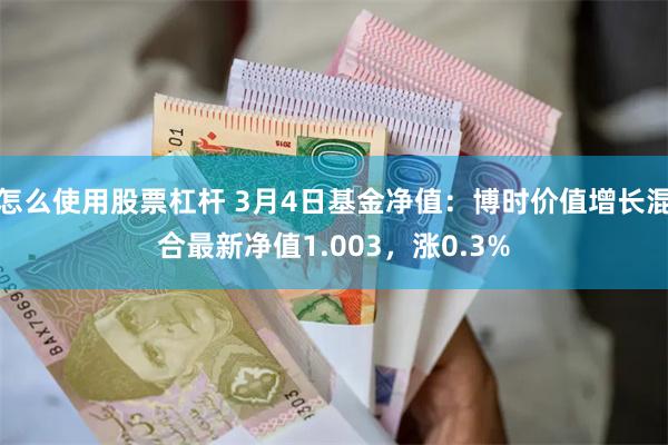 怎么使用股票杠杆 3月4日基金净值：博时价值增长混合最新净值1.003，涨0.3%